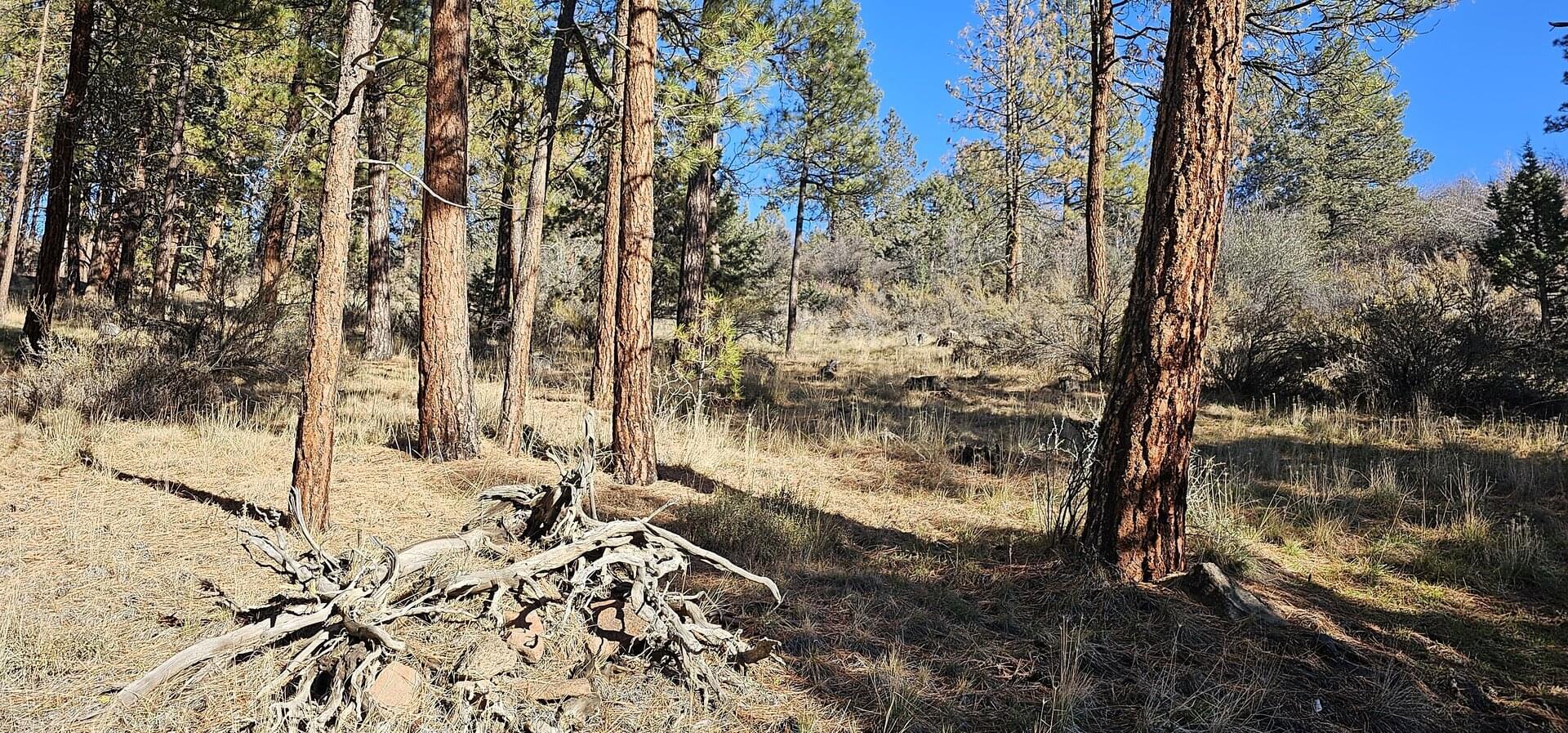 Lake View Gatherings