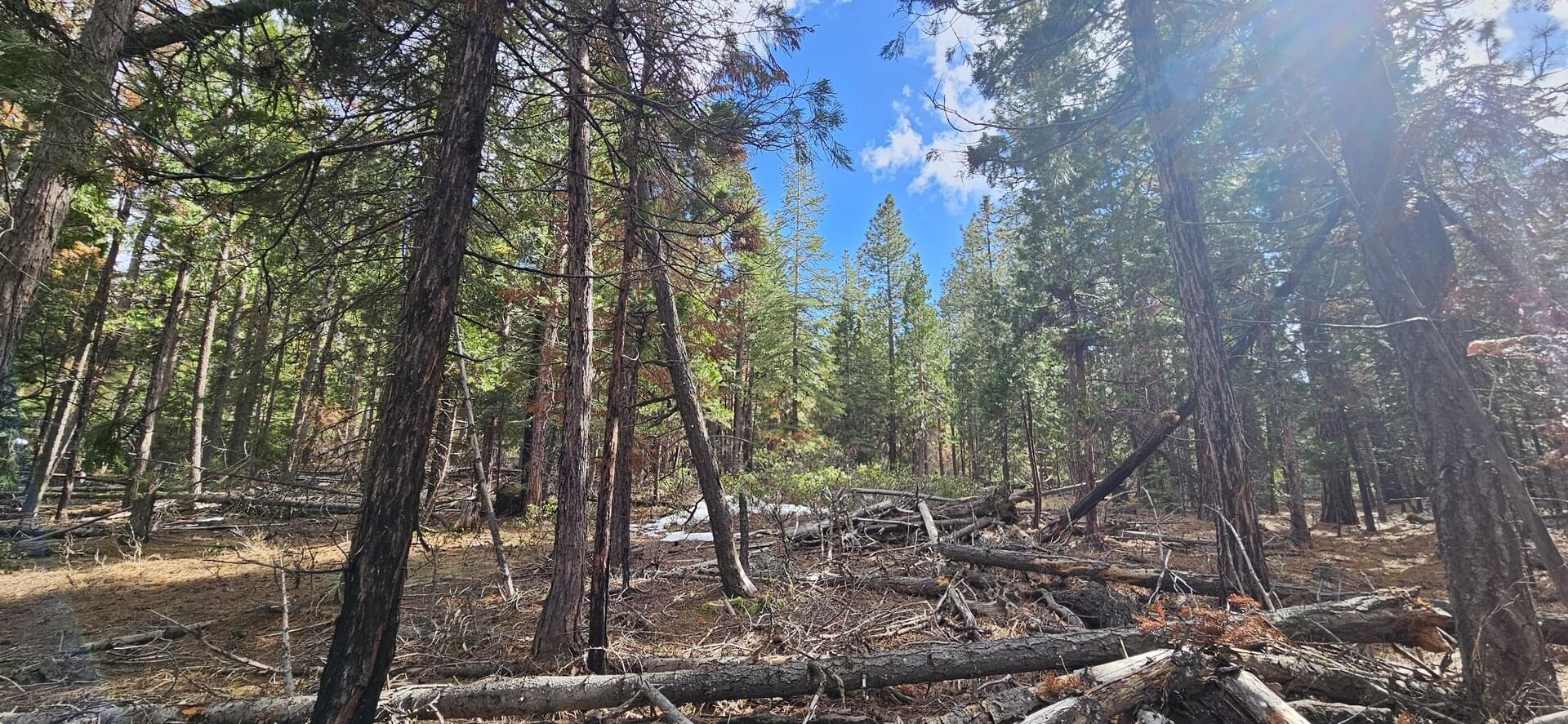 Lake View Gatherings